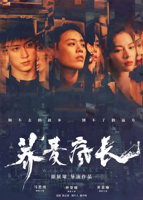 大学考的cad是什么证书